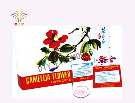 CAMELLIA FLOWER FIREWORKS